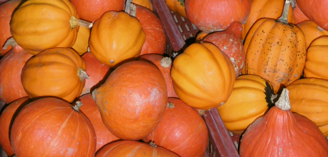 courge